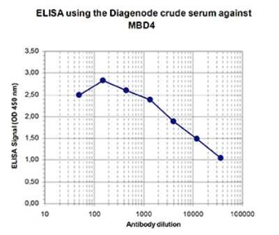 ELISA: MBD4 Antibody [NBP3-18657]